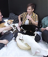 2018-CatCafe-013.jpg