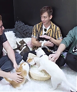 2018-CatCafe-016.jpg