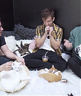 2018-CatCafe-131.jpg