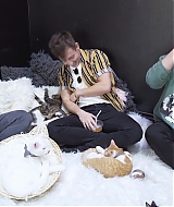 2018-CatCafe-137.jpg