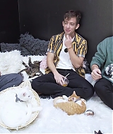 2018-CatCafe-138.jpg