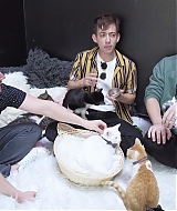 2018-CatCafe-150.jpg