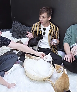 2018-CatCafe-151.jpg