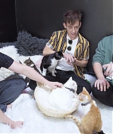 2018-CatCafe-153.jpg