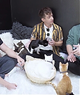 2018-CatCafe-154.jpg