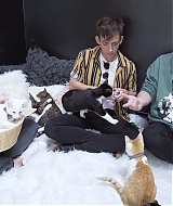 2018-CatCafe-157.jpg