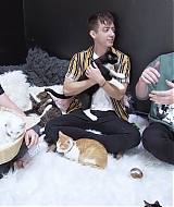 2018-CatCafe-166.jpg