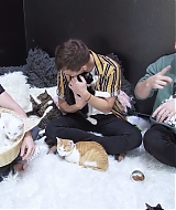 2018-CatCafe-167.jpg