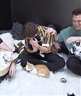 2018-CatCafe-168.jpg