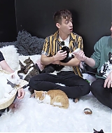 2018-CatCafe-172.jpg