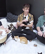 2018-CatCafe-175.jpg