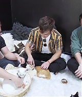 2018-CatCafe-179.jpg