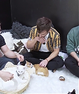 2018-CatCafe-180.jpg