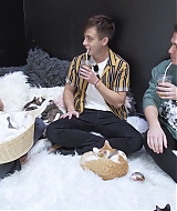 2018-CatCafe-193.jpg