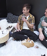 2018-CatCafe-194.jpg