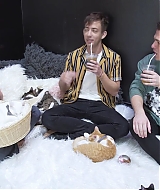 2018-CatCafe-195.jpg