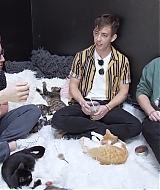 2018-CatCafe-209.jpg