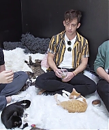 2018-CatCafe-213.jpg