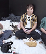 2018-CatCafe-220.jpg