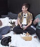 2018-CatCafe-221.jpg