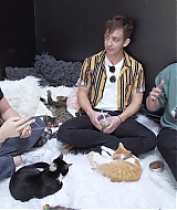 2018-CatCafe-224.jpg