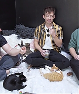 2018-CatCafe-239.jpg