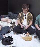 2018-CatCafe-240.jpg