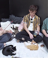 2018-CatCafe-242.jpg