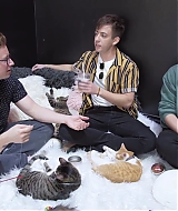 2018-CatCafe-260.jpg