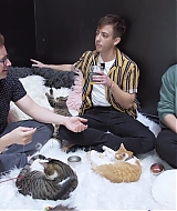 2018-CatCafe-261.jpg