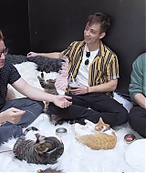 2018-CatCafe-266.jpg