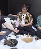 2018-CatCafe-269.jpg