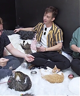 2018-CatCafe-275.jpg