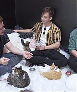 2018-CatCafe-279.jpg