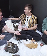 2018-CatCafe-281.jpg