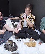 2018-CatCafe-289.jpg