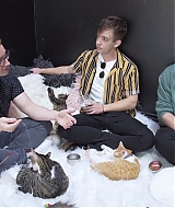 2018-CatCafe-291.jpg