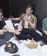 2018-CatCafe-293.jpg