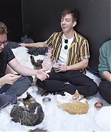 2018-CatCafe-297.jpg